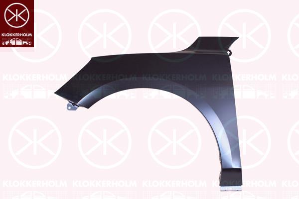 Wing, Right Front, 2424180 (FORD)