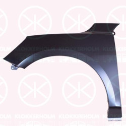 Wing, Right Front, 2424180 (FORD)