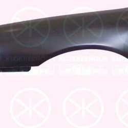 Wing, Left Front, with hole for direction indicator, 6 833 791 (FORD)