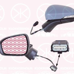 Exterior Mirror, Left, for electric mirror adjustment, Number of pins: 6, with indicator, Heatable, Aspherical, w/primer, 2 004 038 (FORD), 2178319 (FORD), 5 256 463 (FORD), 5 320 249 (FORD)