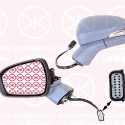 Exterior Mirror, Left, for electric mirror adjustment, Number of pins: 9, Electronically foldable, with reading light, with indicator, Heatable, Aspherical, w/primer, 5 256 463 (FORD), 2 003 242 (FORD), 2121000 (FORD), 2435068 (FORD), 5 323 952 (FORD)