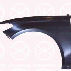 Wing, Steel, Left Front, 1 900 266 (FORD), 2088757 (FORD), 2121105 (FORD), 2167043 (FORD), DS7Z-16006A (FORD)