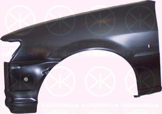 Wing, Left Front, with hole for direction indicator, 6 585 193 (FORD)