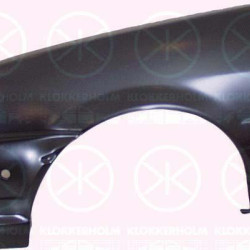 Wing, Left Front, with hole for direction indicator, 6 585 193 (FORD)