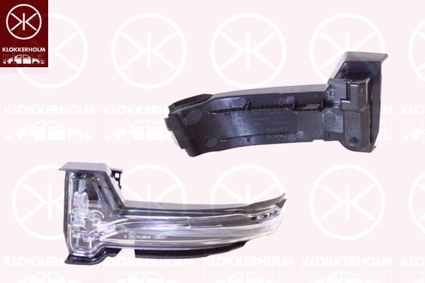 Direction Indicator, Left, Exterior Mirror, LED, 2220569 (FORD), 2419146 (FORD), LJ6B-13B382-AB (FORD)