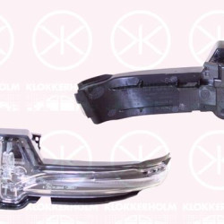 Direction Indicator, Left, Exterior Mirror, LED, 2220569 (FORD), 2419146 (FORD), LJ6B-13B382-AB (FORD)