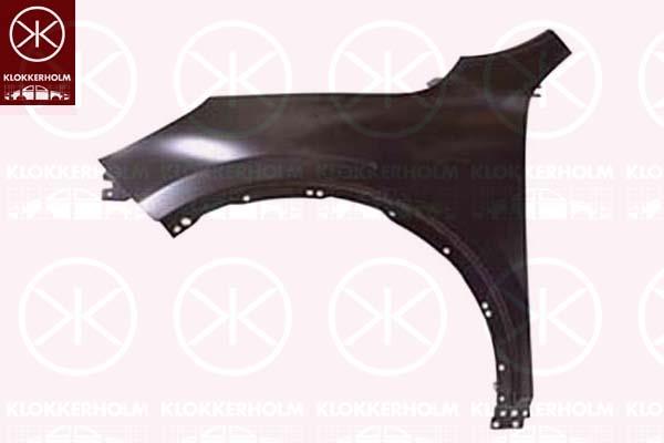 Wing, Left Front, 2 486 914 (FORD), 5 753 147 (FORD)