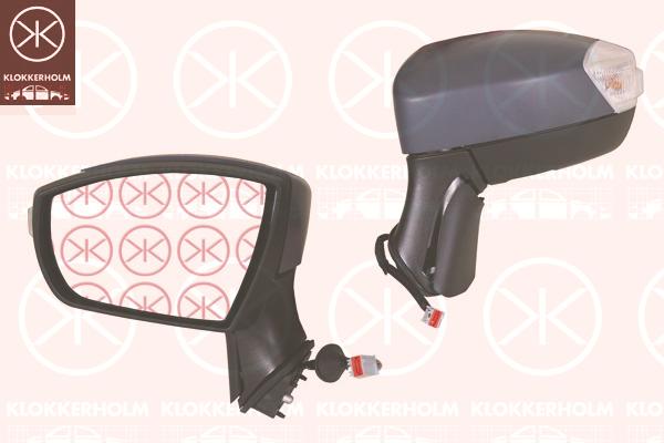 Exterior Mirror, Right, for electric mirror adjustment, with reading light, w/primer, Heatable, Convex, 1 765 814 (FORD), 1543273 (FORD), 1552538 (FORD), 1699005 (FORD), 8V41-17682CC (FORD)