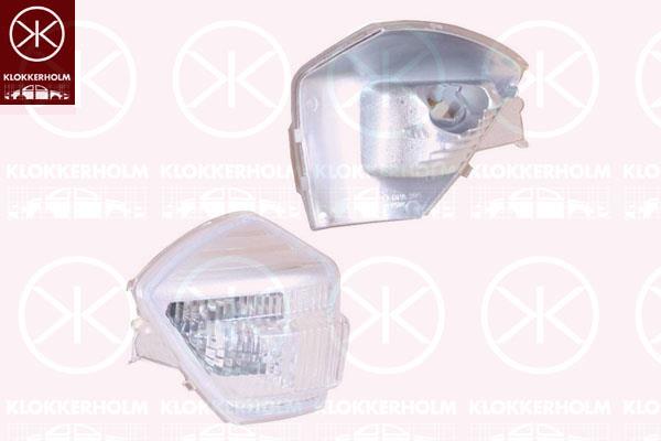 Direction Indicator, Exterior Mirror, Left, without bulb holder, 1 405 019 (FORD), 2057115 (FORD)