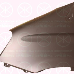 Wing, Left Front, 0000003800002 (IVECO), 3800002 (IVECO), 5801352974 (IVECO)