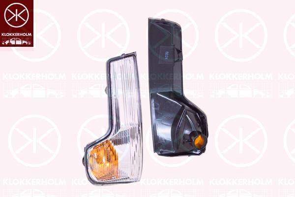 Direction Indicator, Fitting Position: Right Exterior Mirror, 00005801823334 (IVECO), 5801823334 (IVECO)