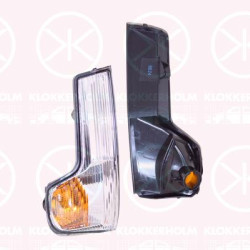 Direction Indicator, Fitting Position: Right Exterior Mirror, 00005801823334 (IVECO), 5801823334 (IVECO)