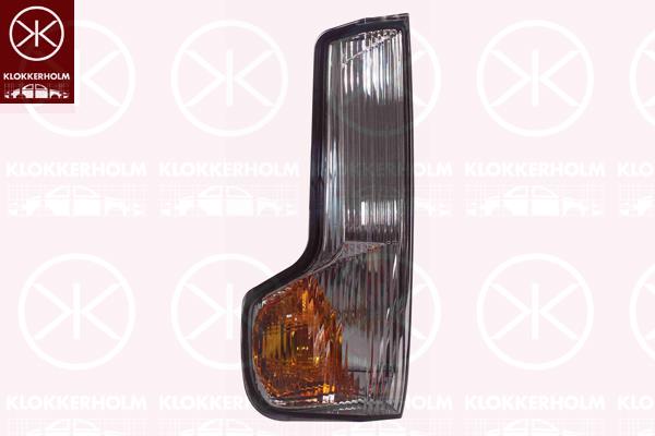 Direction Indicator, Fitting Position: Left Exterior Mirror, Indicator Colour: Smoke Grey, 00005802495900 (IVECO), 5802495900 (IVECO)