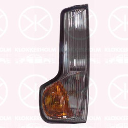 Direction Indicator, Fitting Position: Left Exterior Mirror, Indicator Colour: Smoke Grey, 00005802495900 (IVECO), 5802495900 (IVECO)