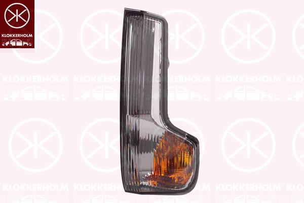 Direction Indicator, Fitting Position: Right Exterior Mirror, Indicator Colour: Smoke Grey, 00005802495899 (IVECO), 5802495899 (IVECO)