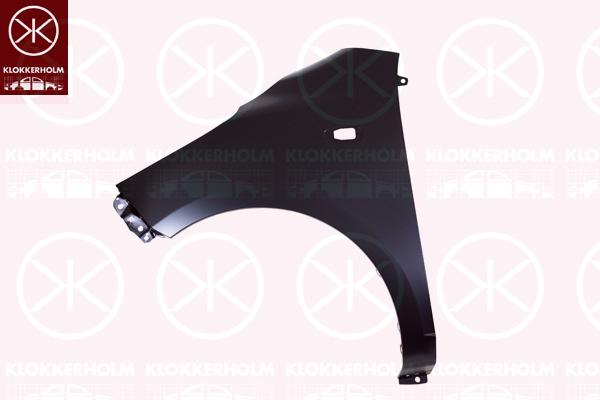 Wing, Left Front, 66311-0X300 (HYUNDAI)