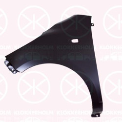 Wing, Left Front, 66311-0X300 (HYUNDAI)