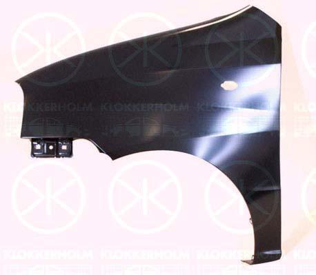 Wing, Right Front, with hole for direction indicator, 66321-05060 (HYUNDAI)