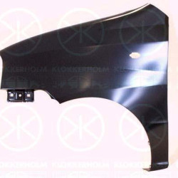 Wing, Right Front, with hole for direction indicator, 66321-05060 (HYUNDAI)