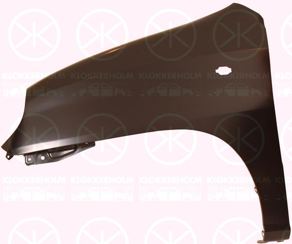 Wing, Right Front, with hole for direction indicator, 66321-06050 (HYUNDAI)