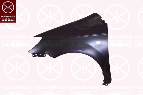 Wing, Right Front, with hole for direction indicator, 66321-1C650 (HYUNDAI)