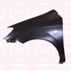 Wing, Right Front, with hole for direction indicator, 66321-1C650 (HYUNDAI)