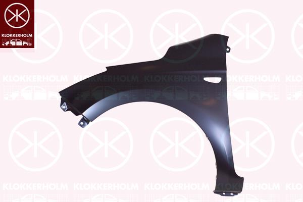 Wing, Right Front, with hole for direction indicator, 66321-1J500 (HYUNDAI)