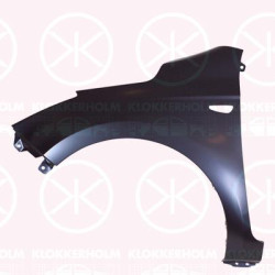 Wing, Right Front, with hole for direction indicator, 66321-1J500 (HYUNDAI)