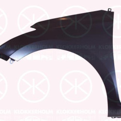 Wing, Left Front, without hole for direction indicator, 66311-C8000 (HYUNDAI)