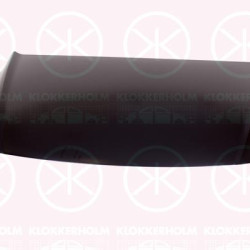 Bonnet, Full Body Section, Zinc-coated, 66400-2L010 (HYUNDAI)