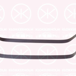 Steel Strap, fuel tank, Quantity: 2, Set, 312102R000 (HYUNDAI), 312112R000 (HYUNDAI)