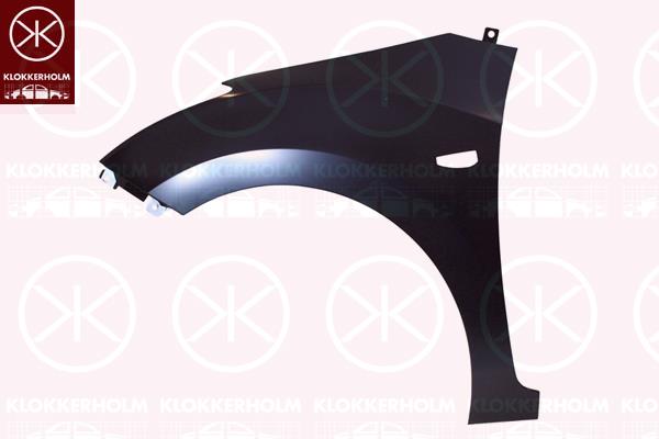 Wing, Left Front, with hole for direction indicator, 66311-A6010 (HYUNDAI)