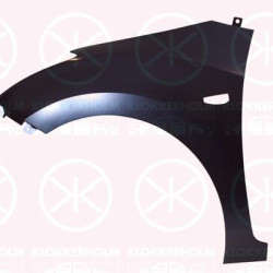 Wing, Left Front, with hole for direction indicator, 66311-A6010 (HYUNDAI)