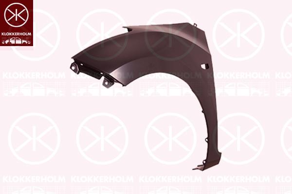 Wing, Left Front, with hole for direction indicator, 66311A6010 (HYUNDAI)