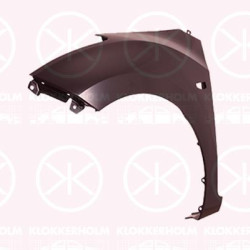 Wing, Left Front, with hole for direction indicator, 66311A6010 (HYUNDAI)