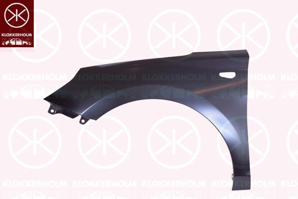 Wing, Right Front, with hole for direction indicator, 66320G3010 (HYUNDAI)