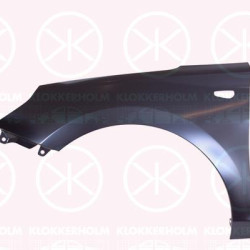 Wing, Right Front, with hole for direction indicator, 66320G3010 (HYUNDAI)