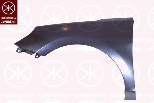 Wing, Right Front, 66320G3000 (HYUNDAI)