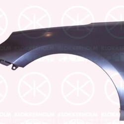 Wing, Right Front, 66320G3000 (HYUNDAI)