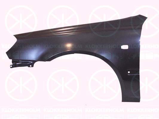 Wing, Left Front, with hole for direction indicator, Vehicle Production Country: Republic of Korea (South Korea), 66311-25370 (HYUNDAI)