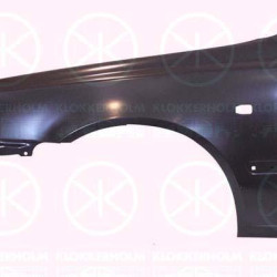 Wing, Left Front, with hole for direction indicator, Vehicle Production Country: Republic of Korea (South Korea), 66311-25370 (HYUNDAI)