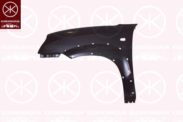 Wing, Left Front, with holes for trim/protective strip, with hole for direction indicator, 66311-2E130 (HYUNDAI)