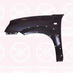 Wing, Left Front, with holes for trim/protective strip, with hole for direction indicator, 66311-2E130 (HYUNDAI)