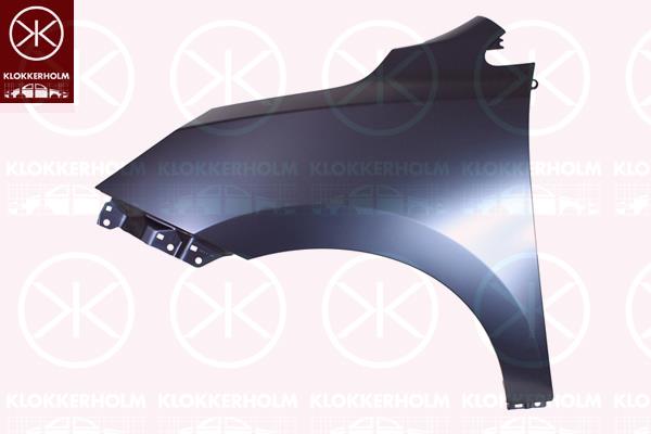 Wing, Steel, Steel, Right Front, with holes for extensions, 66321-2S000 (HYUNDAI)