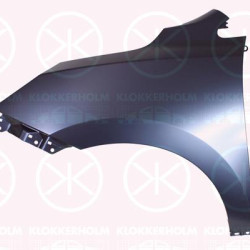 Wing, Steel, Steel, Right Front, with holes for extensions, 66321-2S000 (HYUNDAI)