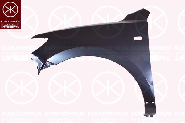 Wing, Left Front, with hole for direction indicator, 66310-2B240 (HYUNDAI), 66310-2B270 (HYUNDAI)