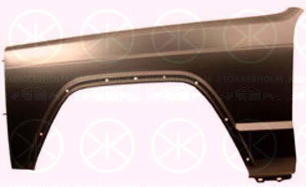 Wing, Left Front, with holes for trim/protective strip, without hole for direction indicator, 55175175 (JEEP)