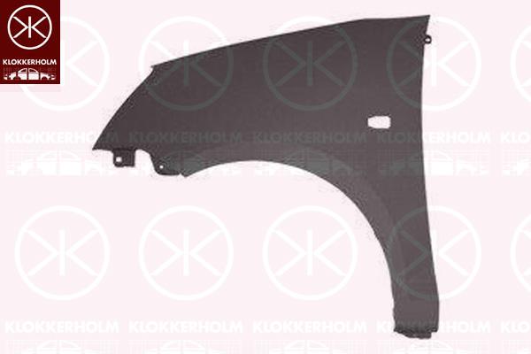 Wing, Left Front, with hole for direction indicator, Model Year to: 2007, 66311 07300 (KIA), 66311 07330 (KIA), 66311-07030 (KIA), 6631107330 (KIA)