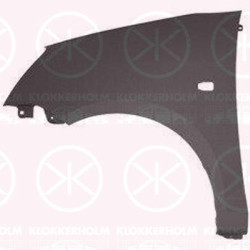 Wing, Left Front, with hole for direction indicator, Model Year to: 2007, 66311 07300 (KIA), 66311 07330 (KIA), 66311-07030 (KIA), 6631107330 (KIA)