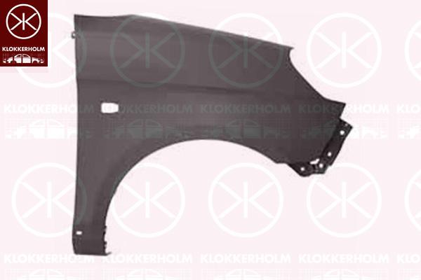 Wing, Right Front, with holes for trim/protective strip, with hole for direction indicator, Model Year from: 2008, Zinc-coated, 66321 07690 (KIA), 6632107690 (KIA)